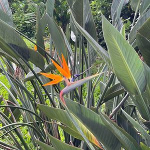 Meet your Posher, Jen